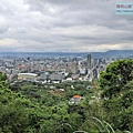 P1960796-.jpg