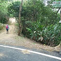 P1960798.jpg