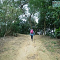 P1960799.jpg