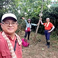 P1970310-2.jpg