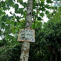 P1970310-1.jpg