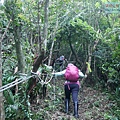 P1970308.jpg