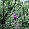 P1970313.jpg