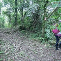 P1970316.jpg