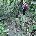 P1970320.jpg