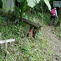 P1970332.jpg