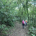 P1970333.jpg