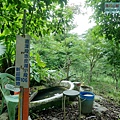 P1970330.jpg