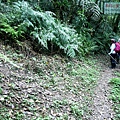 P1970334.jpg
