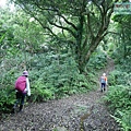 P1970337.jpg