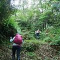 P1970339.jpg