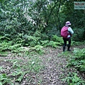 P1970342.jpg