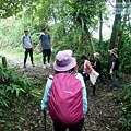 P1970346.jpg