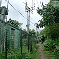 P1970348.jpg