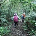 P1970354.jpg