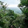 P1970356.jpg