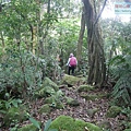 P1970361.jpg