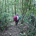 P1970362.jpg