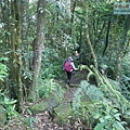 P1970360.jpg