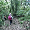 P1970374.jpg
