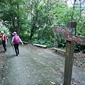 P1970395.jpg