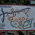 P1970446.jpg