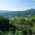 P1990533.jpg