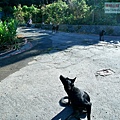 P2000061.jpg