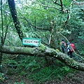 P2000069.jpg