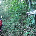 P2000070.jpg