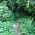 P2000068.jpg