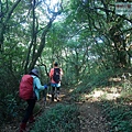 P2000071.jpg