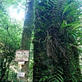 P2000075.jpg