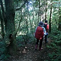 P2000072.jpg