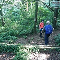 P2000077.jpg