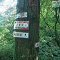 P2000078.jpg