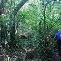 P2000081.jpg