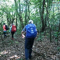 P2000082.jpg