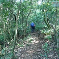 P2000086.jpg
