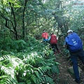 P2000088.jpg