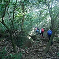 P2000087.jpg