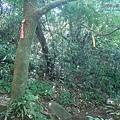 P2000090.jpg