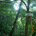 P2000091.jpg