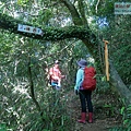 P2000092.jpg