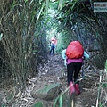 P2000093.jpg