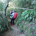 P2000095.jpg