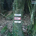 P2000100.jpg
