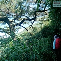 P2000096.jpg