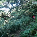 P2000101.jpg