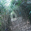P2000104.jpg
